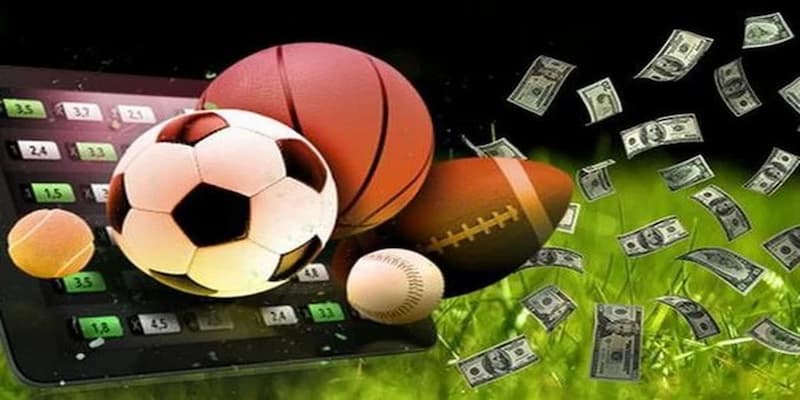 Thể thao EE88 có gì để thu hút cược thủ?